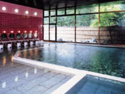 Kinugawa Royal Hotel Nikko Eksteriør billede